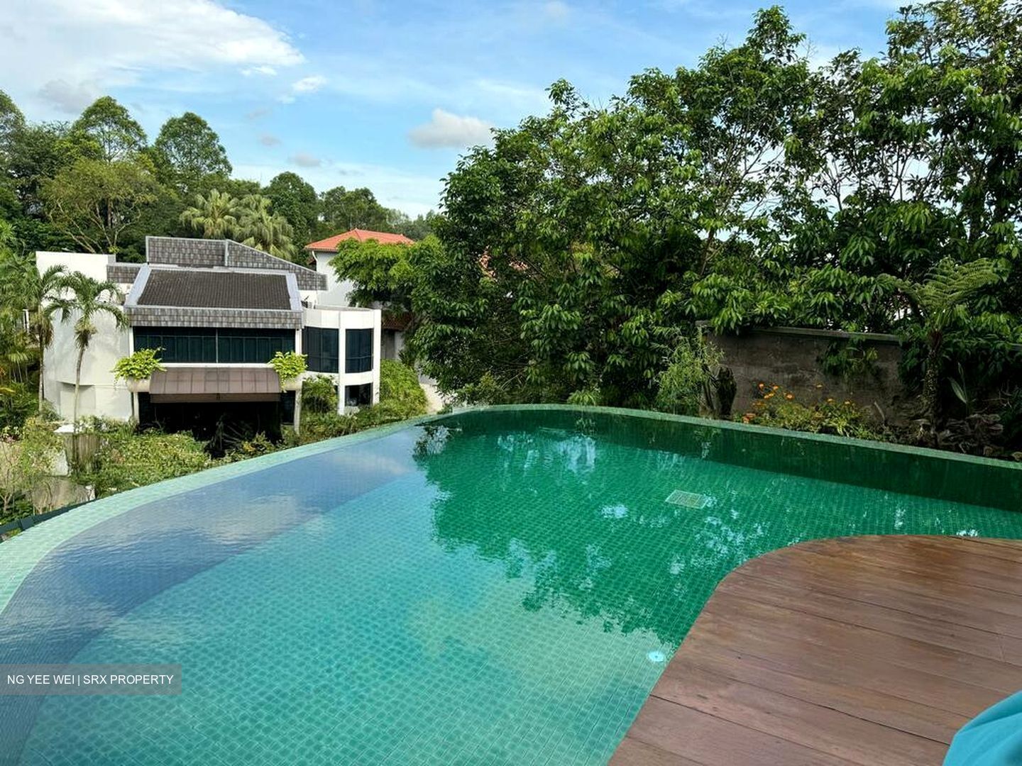Bukit Timah Road (D21), Detached #553827481